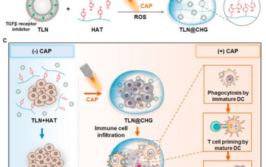 Biomaterials：外部冷大气等离子体响应原位水凝胶可重塑肿瘤免疫微环境