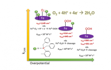 JACS：铁卟啉第二球体上的胺基团在低过电位下具有较高的4e−/4H+氧还原速率
