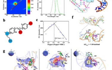 JACS：通过序列-结构双特异性荧光RNA理解生命分子在活细胞中的动态分布