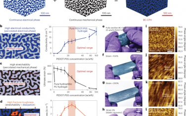 Nature Materials：适用于所有水凝胶生物电子界面的3D可打印高性能导电聚合物水凝胶