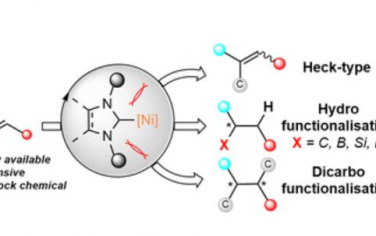 Chem. Soc. Rev: N-杂环卡宾作为镍催化烯烃官能化的配体