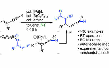 JACS：1,3-烯炔和酮室温协同催化制备联烯