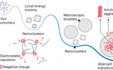 Nature Chemistry：纳米级α-突触核蛋白相分离的质谱检测与定量