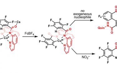 JACS：Cu催化C(sp2)-H官能团化中间体
