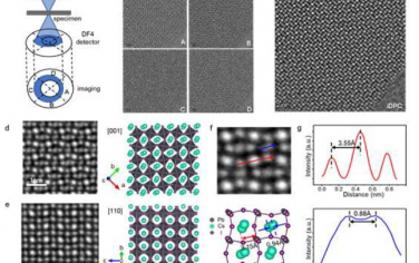 Advanced Materials：从分子层面揭示金属卤化物钙钛矿量子点表面和界面的结构演变
