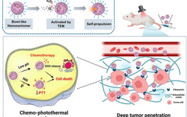 ACS Nano：CREKA修饰Ceria@Polydopamine仿生纳米游泳体的正向趋化性可增强穿透和化学光热肿瘤治疗