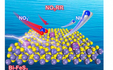 ACS Nano：单分散双掺杂FeS2上安培级硝酸盐电还原制氨