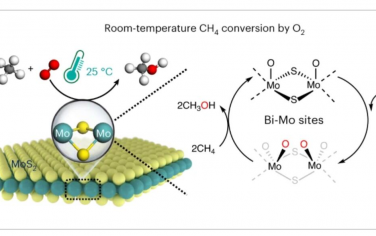 Nature Catalysis：MoS2上甲烷与O2在室温下的直接转化