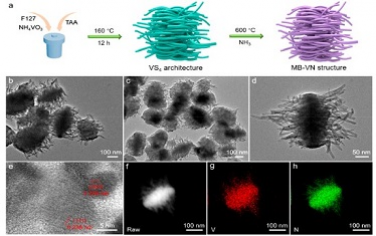 ACS Nano：多枝状氮化钒电催化剂可实现锂硫电池的宽温运行
