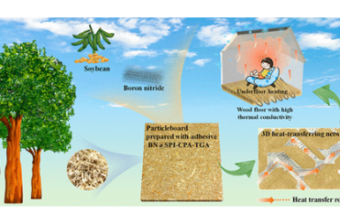 ACS Nano：用于导热木基复合材料的强导热蜘蛛丝大豆蛋白基粘合剂的制备