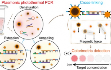 Nano Letters：等离子交联比色PCR