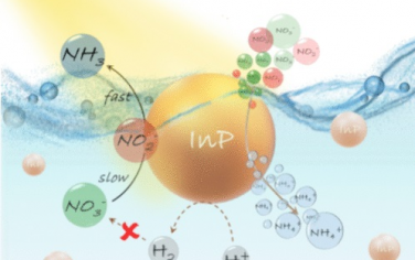 JACS：InP可见光催化硝酸盐还原合成氨