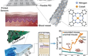 ACS Nano：基于纳米酶的集成式生物芯片-电子系统分析体内一氧化氮