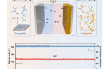 AM：杂多离子水凝胶使无枝晶的水性 Zn-I2 电池具有快速动力学