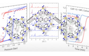 JACS：自适应开孔以在协作灵活的框架中形成定制的吸附位点，实现丙烷/丙烯逆分离记录