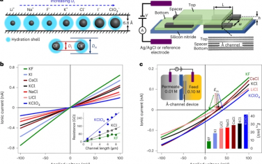 Nature Nanotechnology：使用ångström级毛细管超越离子的空间选择性