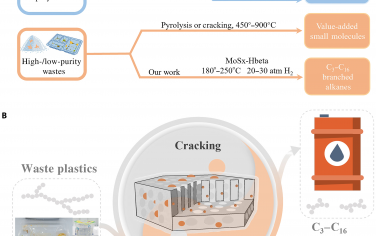 Sci Adv：MoS2-Hβ催化聚烯烃解聚