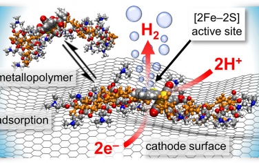 JACS：电活性金属聚合物在电极表面的自然组装：[2Fe–2S]金属聚合物在中性水中增强电催化制氢