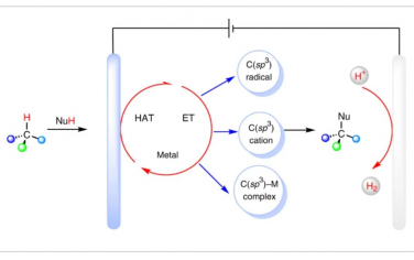 Nature Synthesis：C（sp3）–H交叉偶联电化学氧化