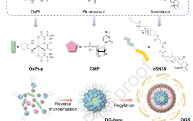 Biomaterials：利用核壳纳米配位聚合物共递送三种协同型化疗药物以治疗胰腺癌