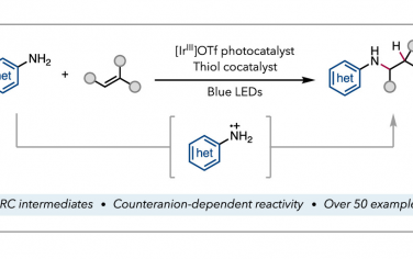 JACS：光催化杂环芳烃与烯烃之间反马氏加成