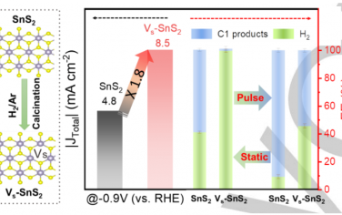 Angew：SnS2电化学还原CO2的产物调控