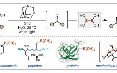 JACS：巯基脱硫硼化