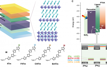 Science Advances: 通过分子工程在二维/三维异质结中进行整体能量景观管理以实现高效钙钛矿太阳能电池