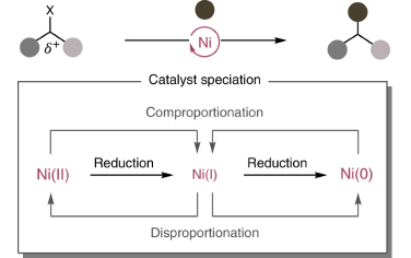 Nature Catalysis：联吡啶镍还原偶联反应的催化剂电子转移