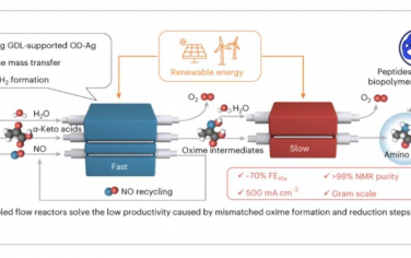 Nature Catalysis：用两个去耦流动反应器从NO和α-酮酸电合成氨基酸