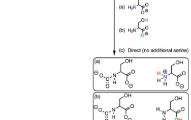 JACS：利用氨基酸离子液体阐释二氧化碳捕获的分子机制