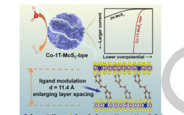 Angew：碱介质中配体调节活性中心促进Co掺杂1T-MoS2电催化析氢