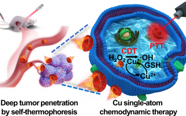 ACS Nano：铜单原子水母状纳米马达用于增强肿瘤穿透和纳米催化治疗