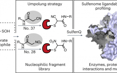 Nature Chemical Biology：半胱氨酸氧还原型的亲核共价配体发现