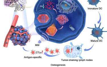 Biomaterials：多功能3D打印支架清除骨肉瘤和促进成骨