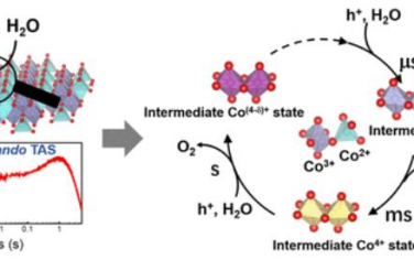 JACS: 揭示水氧化Co3O4催化剂上多钴活性位点的顺序氧化动力学及其作用
