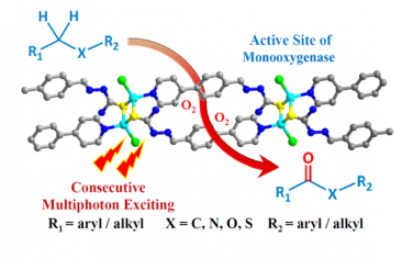 JACS：拟酶聚合物多光子选择性C(sp3)-H氧化