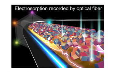 ACS Nano：光纤传感器记录的纳米尺度吸附、组装和去离子动力学