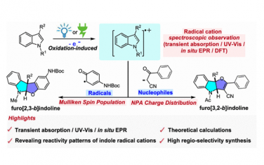 JACS：电化学氧化成环反应机理研究