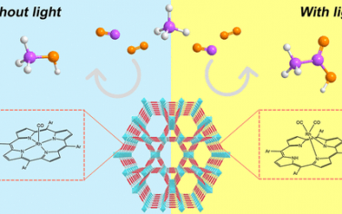 JACS：单原子Rh选择性甲烷转化为甲醇或乙酸