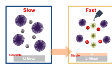ACS Nano;高氟化碳点的分子工程：稳定固体锂电池的Li+动力学和界面氟化