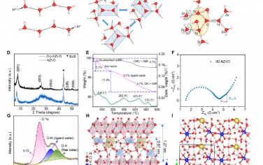 Science Advances：通过特殊的成对质子转移实现超高速、超长寿命的水系电池