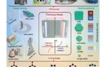 Chem. Soc. Rev.: CO2和含氮小分子的电化学碳氮耦合