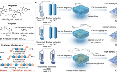 Nature Communications：具有链长依赖行为的共轭分子系统的多级组装结构的可视化