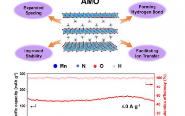 Angew：层状 δ-MnO2 纳米片中铵离子的预嵌入用于高性能水系锌离子电池