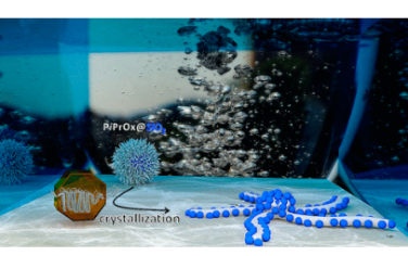 ACS Nano：通过接枝聚合物定向结晶自组装核壳杂化纳米粒子