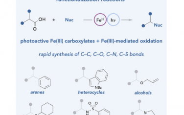 Chem：Fe(III)介导光化学脱羧偶联
