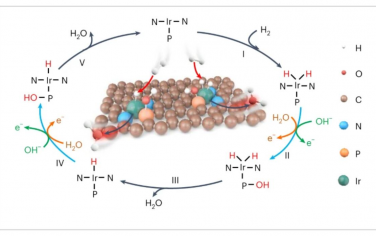 Nature Catalysis：原子金属-非金属催化对驱动氢氧化催化