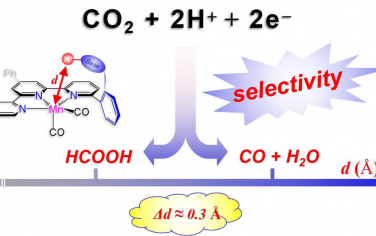 Angew：金属氢化物形成的质子隧穿距离影响CO2电化学还原反应的选择性