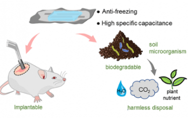 ACS Nano：用于环境友好和生物相容性储能的可生物降解高性能微型超级电容器